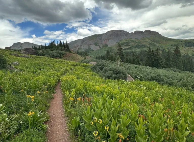 Freedom Palooza Begins + Send Ron Paul a Birthday Card.