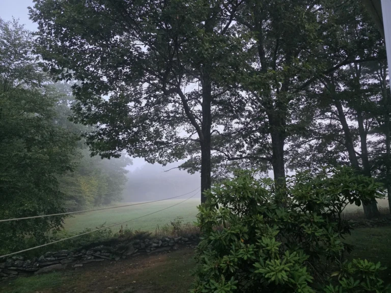 Happy Birthday, Ron Paul!