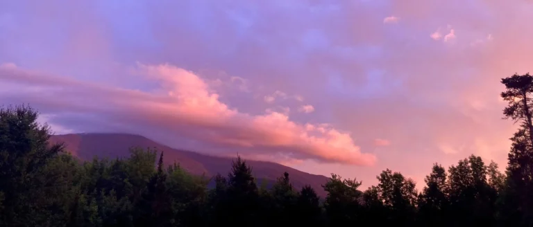 Live Free (or die trying)