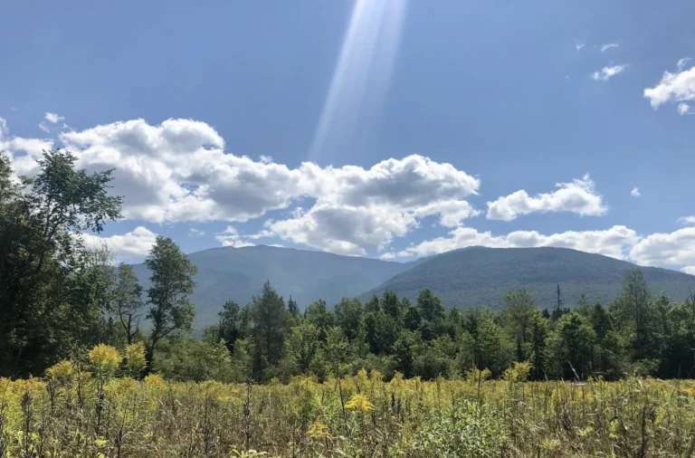 Slave Staters Whine, Free Staters Shine