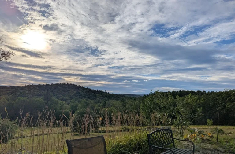 Why does Janet Mills hate New Hampshire?