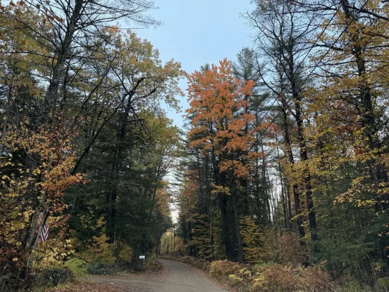 Happy Halloween in the Free State!