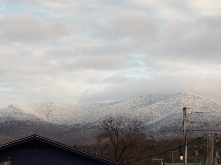 Free Staters are good neighbors… and statists hate that!