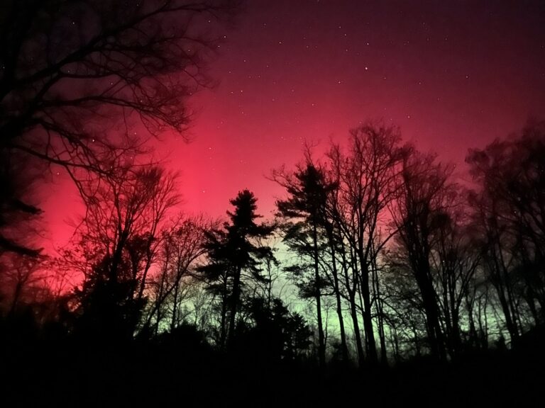 Another leftist love letter?