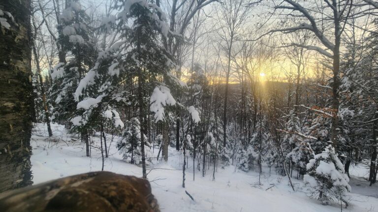 The First Welcome (That Changed Everything)