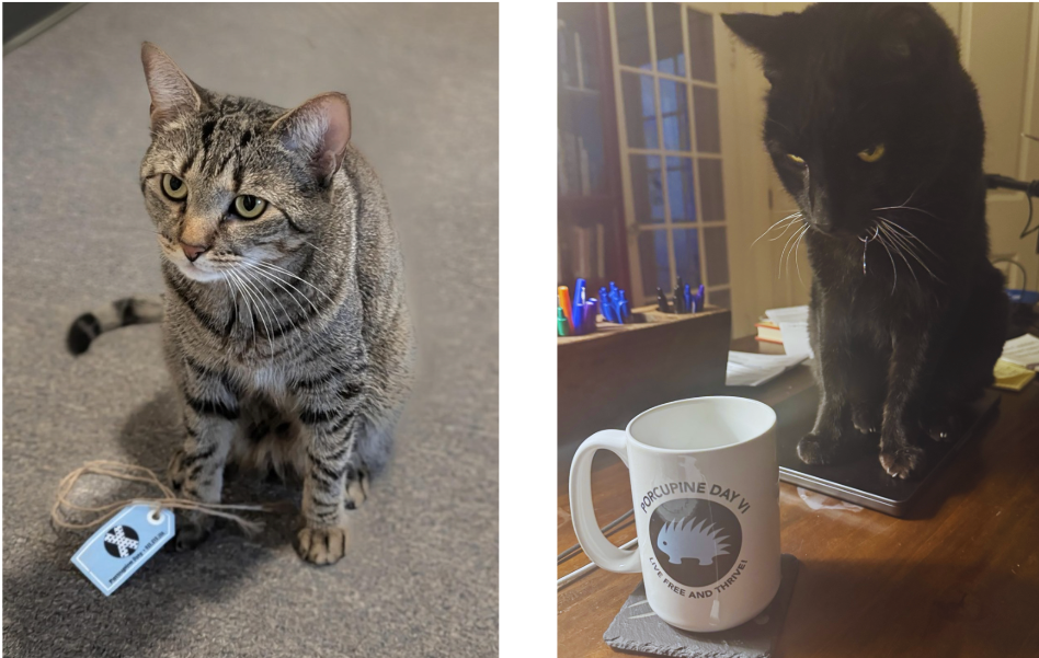 Screenshot 2026-02-08 at 3.28.01 PM.png