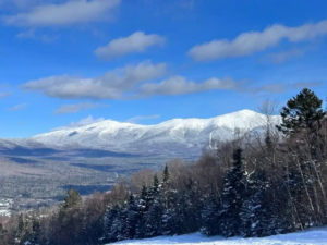 Free Staters are different.