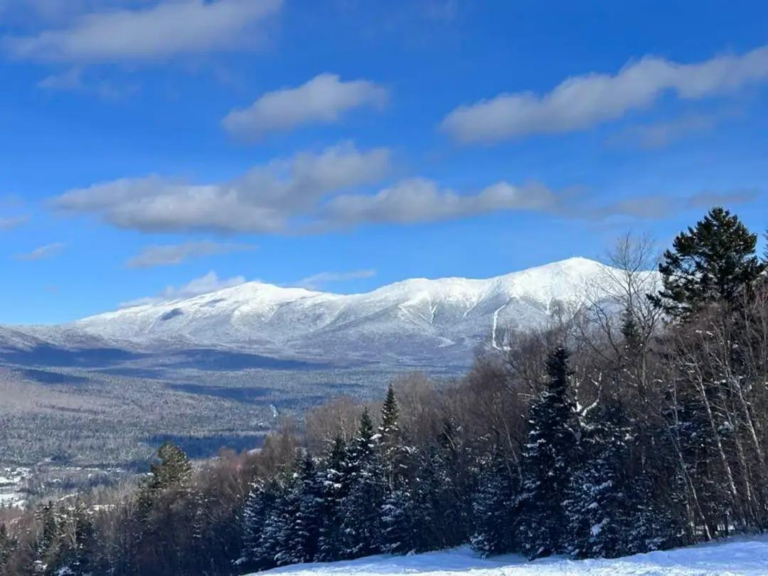 Free Staters are different.