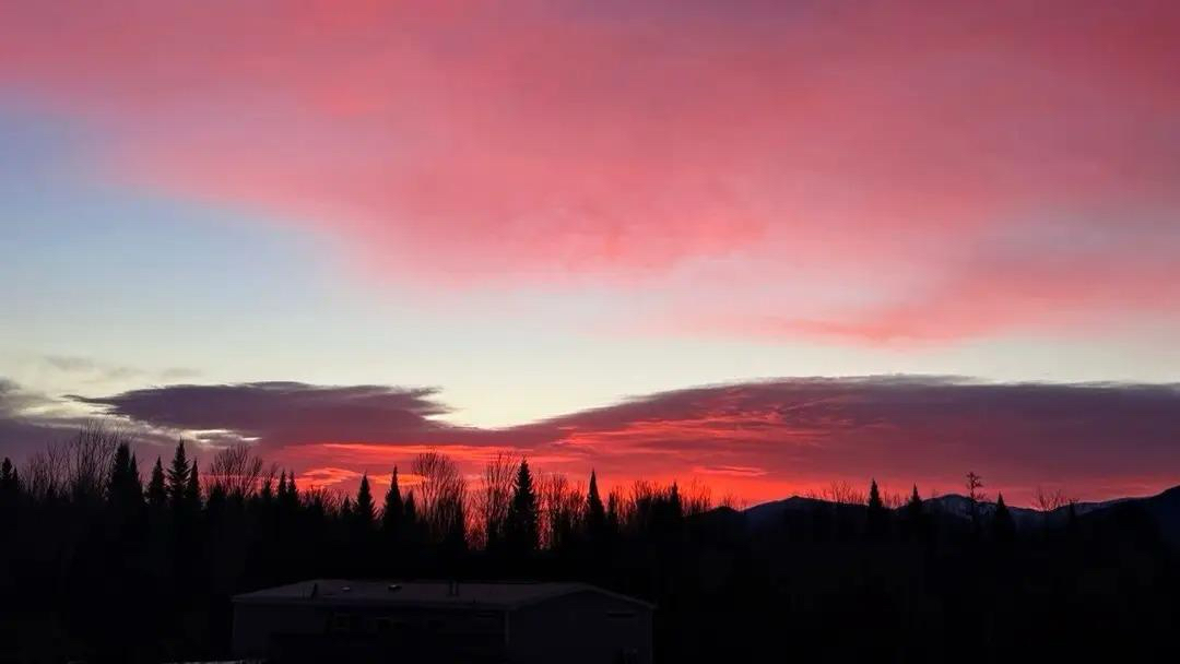 JPEG image-42E6-81F2-EB-0.jpeg