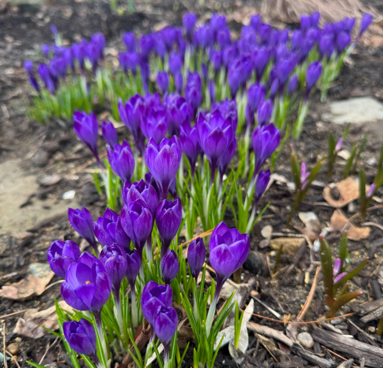 Every New Mover Is a Victory.