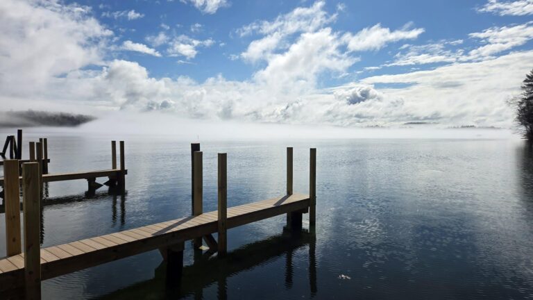 I Am a Free Stater. Are You?