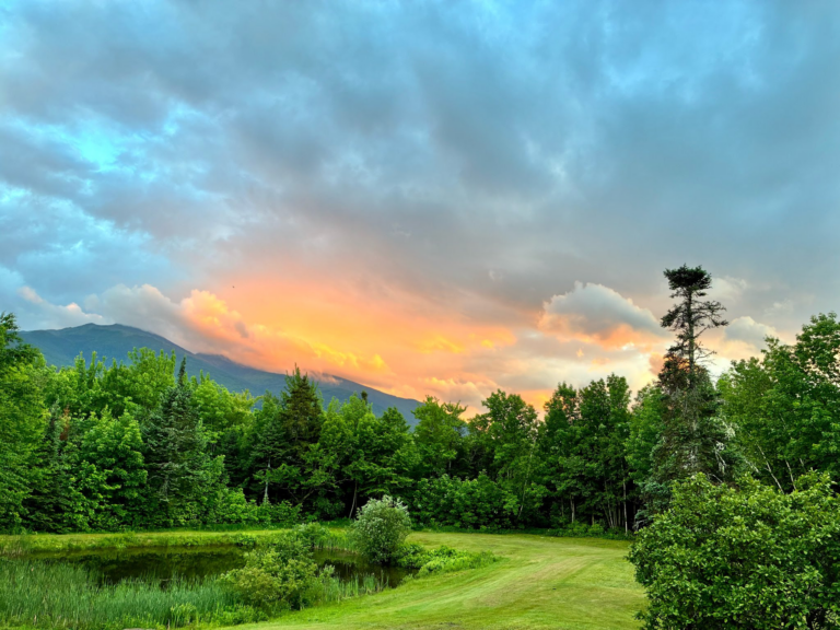 PorcFest Begins Sunday: Choose Your Own Adventure